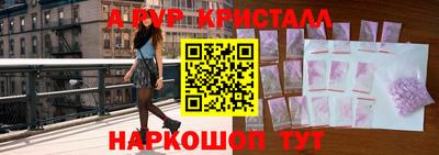 крисы Шелехов