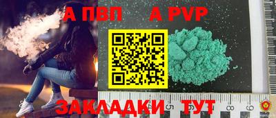 крисы Шелехов