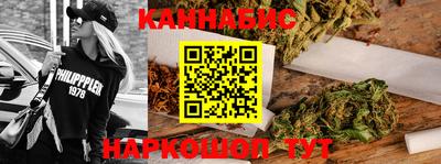 крисы Шелехов