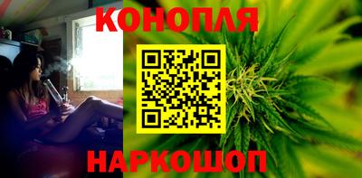 крисы Шелехов