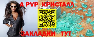 крисы Шелехов