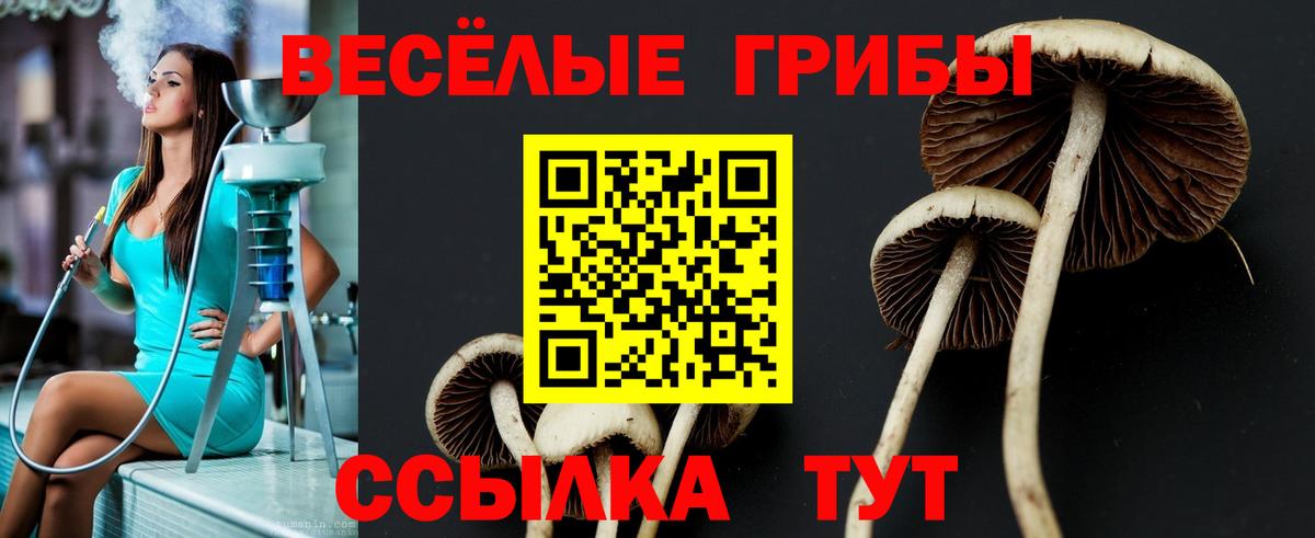 Галлюциногенные грибы прущие грибы  сколько стоит  Омск  Вход с VPN 
